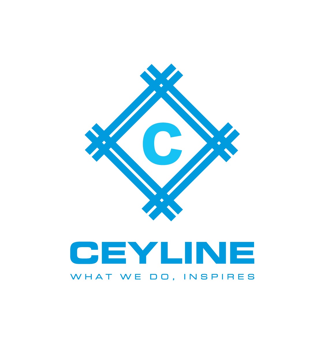 Silver Sponsor